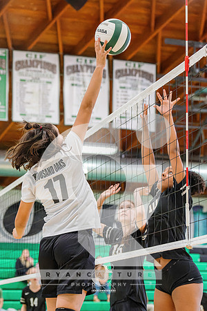 RJH00231-ARW_DxO_DeepPRIME-2