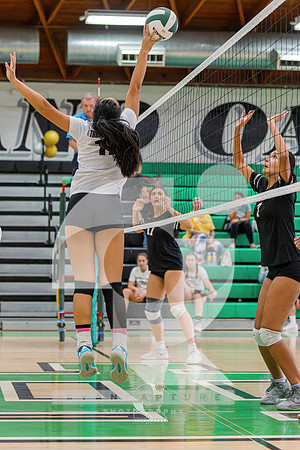 RJH00736-ARW_DxO_DeepPRIME