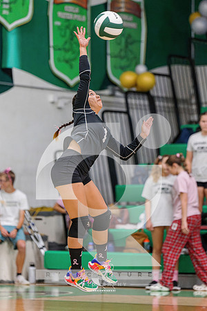 RJH01788-ARW_DxO_DeepPRIME