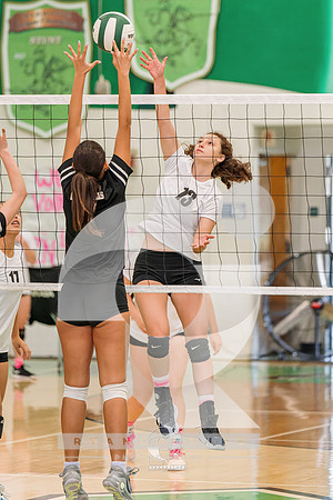 RJH00778-ARW_DxO_DeepPRIME
