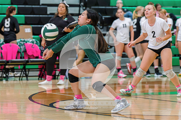 RJH01444-ARW_DxO_DeepPRIME