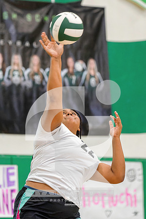 RJH09994-ARW_DxO_DeepPRIME