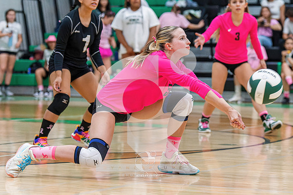RJH01590-ARW_DxO_DeepPRIME