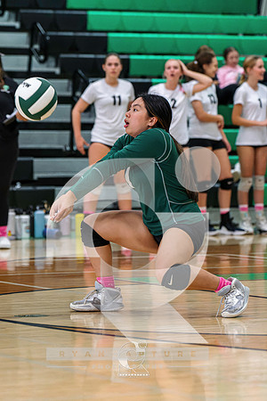 RJH01301-ARW_DxO_DeepPRIME