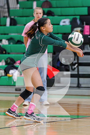 RJH00026-ARW_DxO_DeepPRIME