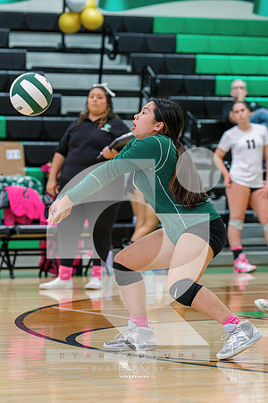 RJH01445-ARW_DxO_DeepPRIME-2