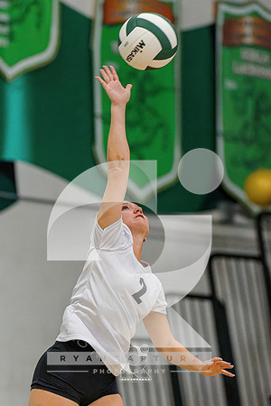 RJH00678-ARW_DxO_DeepPRIME