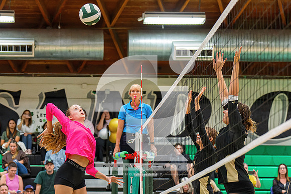 RJH01600-ARW_DxO_DeepPRIME