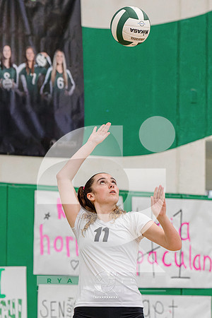 RJH00145-ARW_DxO_DeepPRIME-2