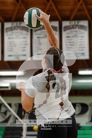 RJH01351-ARW_DxO_DeepPRIME