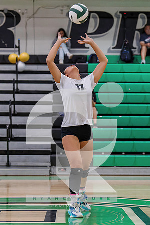 RJH01410-ARW_DxO_DeepPRIME