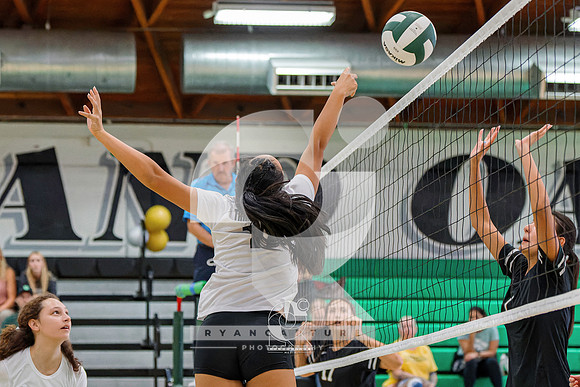 RJH00737-ARW_DxO_DeepPRIME