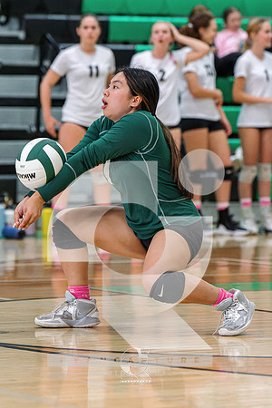 RJH01300-ARW_DxO_DeepPRIME-2