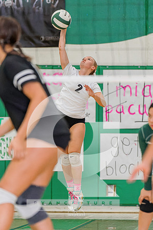 RJH00802-ARW_DxO_DeepPRIME