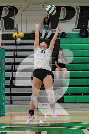 RJH01229-ARW_DxO_DeepPRIME