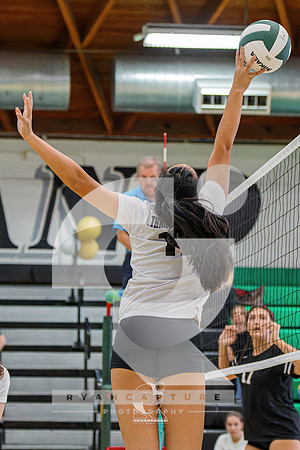 RJH00736-ARW_DxO_DeepPRIME-2
