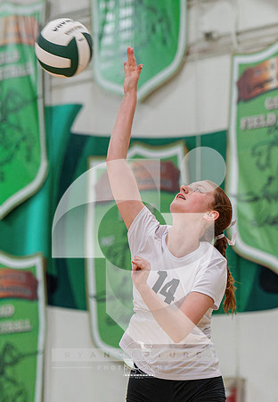 RJH01494-ARW_DxO_DeepPRIME-2