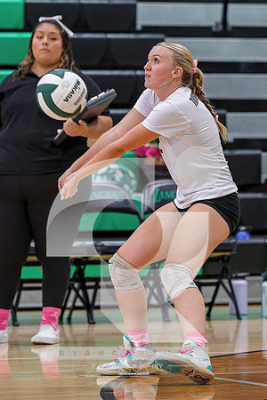 RJH01118-ARW_DxO_DeepPRIME