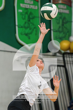 RJH00718-ARW_DxO_DeepPRIME-2