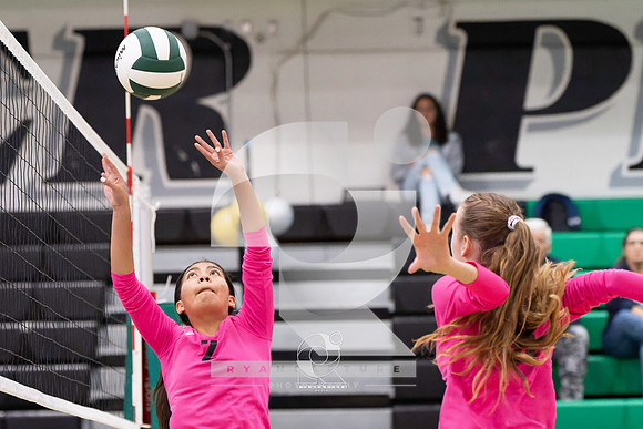 RJH02258-ARW_DxO_DeepPRIME