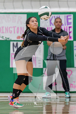 RJH02049-ARW_DxO_DeepPRIME