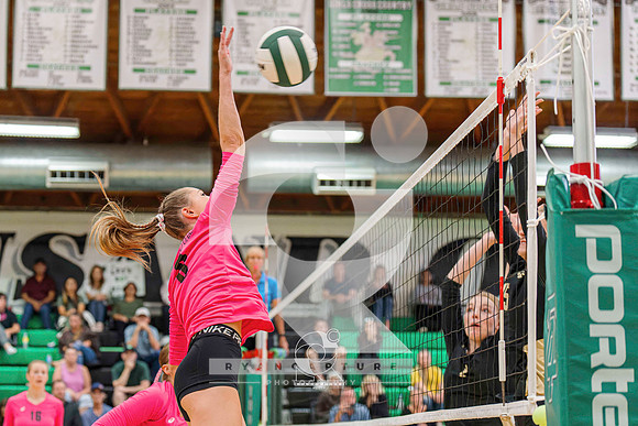 RJH01888-ARW_DxO_DeepPRIME