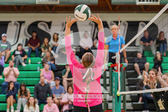 RJH01882-ARW_DxO_DeepPRIME