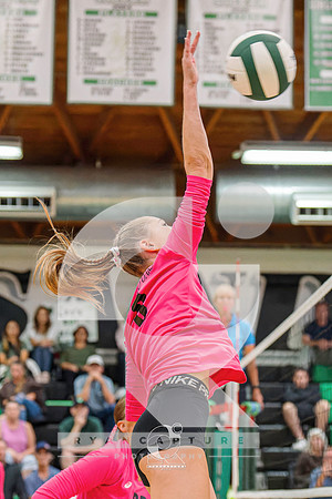 RJH01888-ARW_DxO_DeepPRIME-2