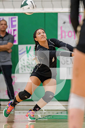 RJH02039-ARW_DxO_DeepPRIME