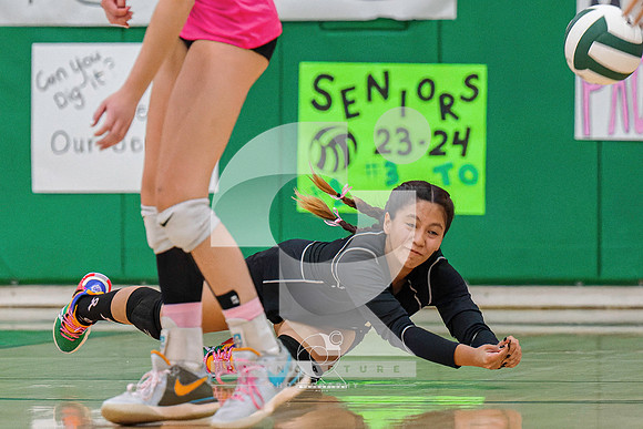 RJH02019-ARW_DxO_DeepPRIME