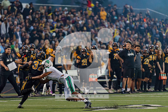 RJH02970-ARW_DxO_DeepPRIME
