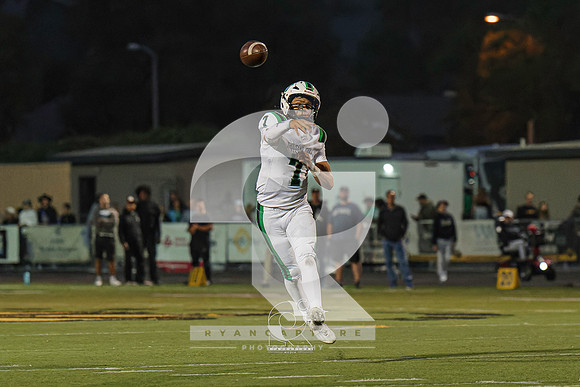 RJH03253-ARW_DxO_DeepPRIME-2