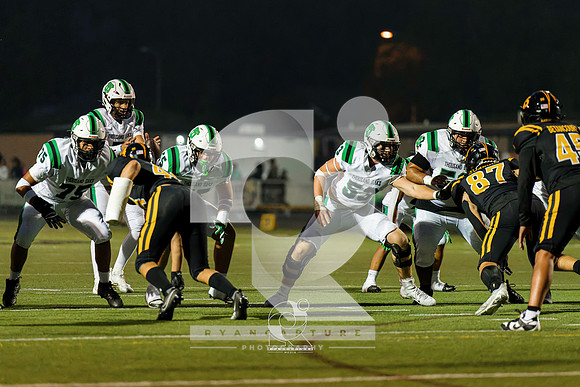 RJH03320-ARW_DxO_DeepPRIME
