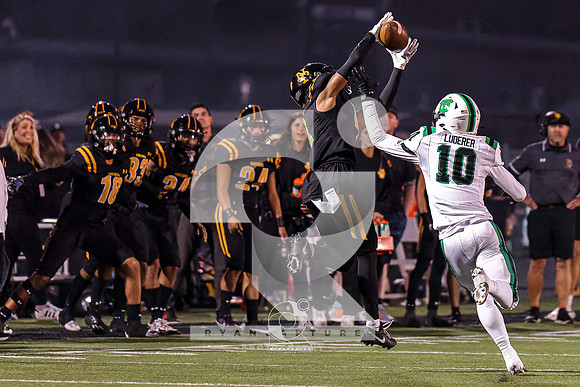 RJH03339-ARW_DxO_DeepPRIME-2