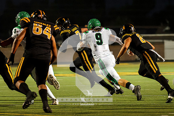 RJH03419-ARW_DxO_DeepPRIME