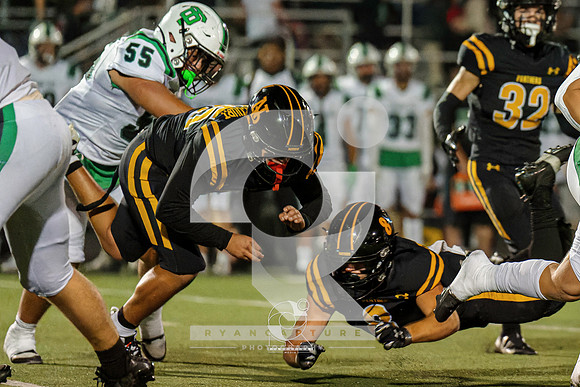 RJH03539-ARW_DxO_DeepPRIME-3