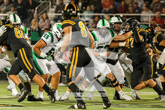 RJH03673-ARW_DxO_DeepPRIME