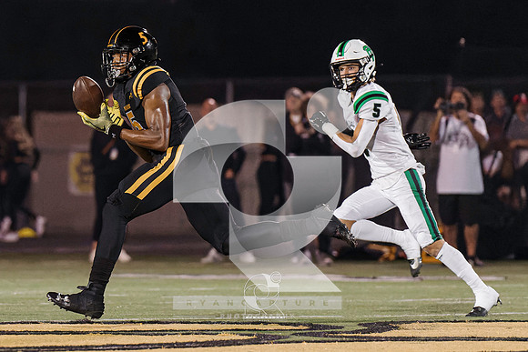 RJH03929-ARW_DxO_DeepPRIME