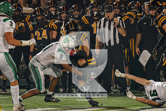 RJH03960-ARW_DxO_DeepPRIME-2
