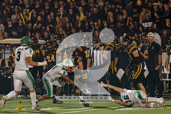 RJH03960-ARW_DxO_DeepPRIME