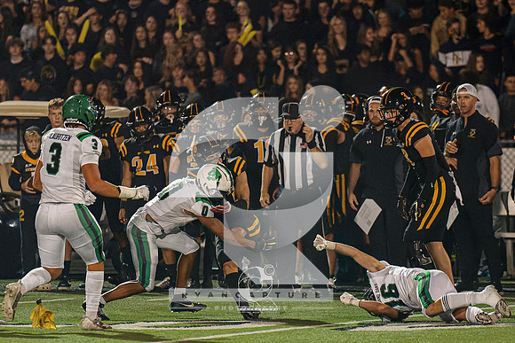 RJH03961-ARW_DxO_DeepPRIME