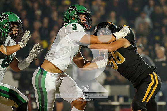 RJH03977-ARW_DxO_DeepPRIME-2