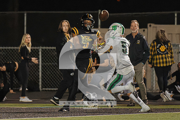 RJH04025-ARW_DxO_DeepPRIME