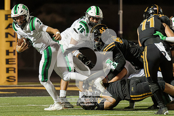 RJH04696-ARW_DxO_DeepPRIME-2