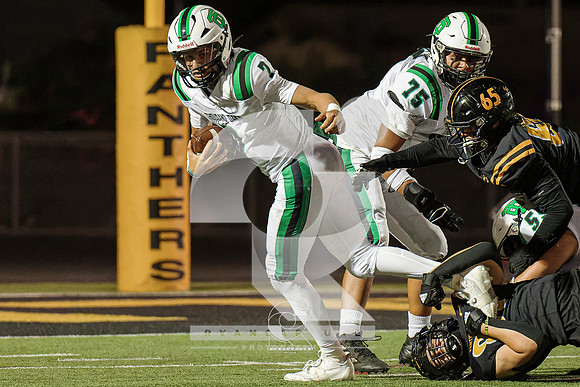 RJH04696-ARW_DxO_DeepPRIME-3