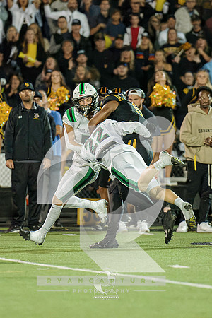 RJH04729-ARW_DxO_DeepPRIME