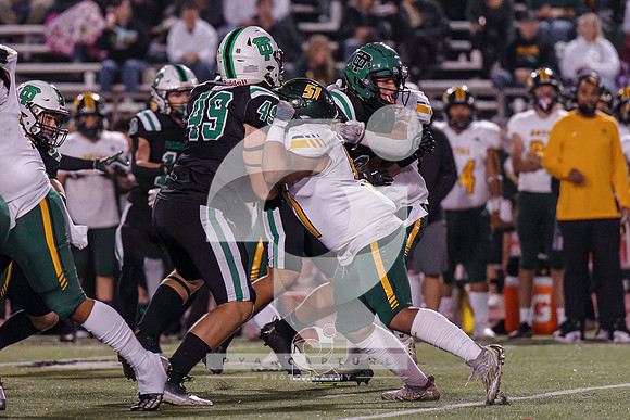 RJH09762-ARW_DxO_DeepPRIME-2