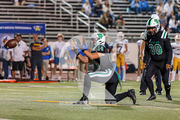 RJH09333-ARW_DxO_DeepPRIME