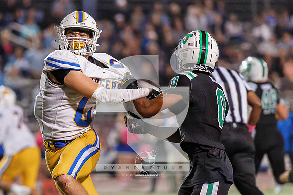 RJH00707-ARW_DxO_DeepPRIME-2