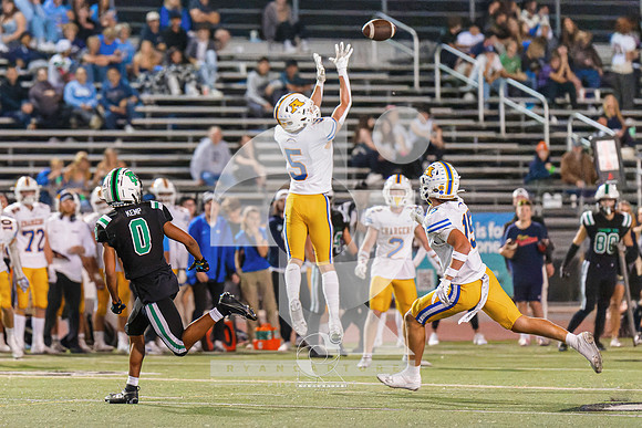 RJH01253-ARW_DxO_DeepPRIME